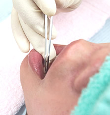 ��������